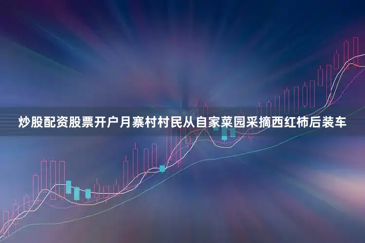 炒股配资股票开户月寨村村民从自家菜园采摘西红柿后装车