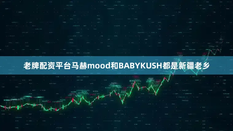老牌配资平台马赫mood和BABYKUSH都是新疆老乡