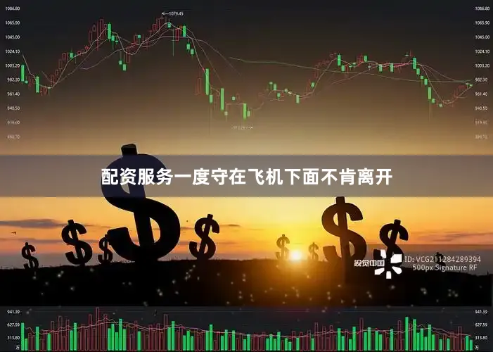 配资服务一度守在飞机下面不肯离开