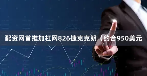 配资网首推加杠网826捷克克朗（约合950美元