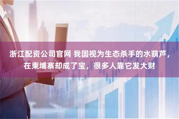 浙江配资公司官网 我国视为生态杀手的水葫芦，在柬埔寨却成了宝，很多人靠它发大财