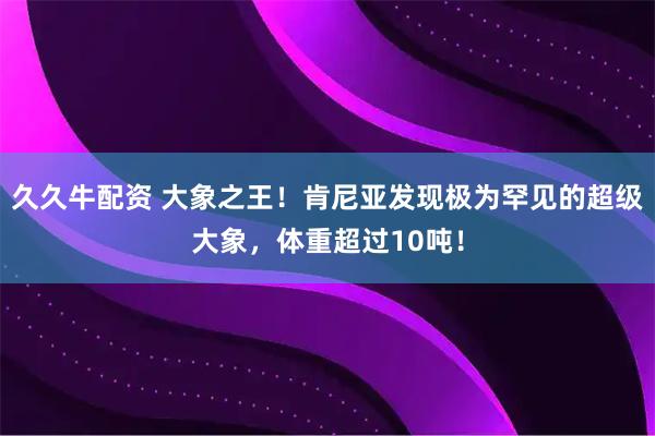 久久牛配资 大象之王！肯尼亚发现极为罕见的超级大象，体重超过10吨！